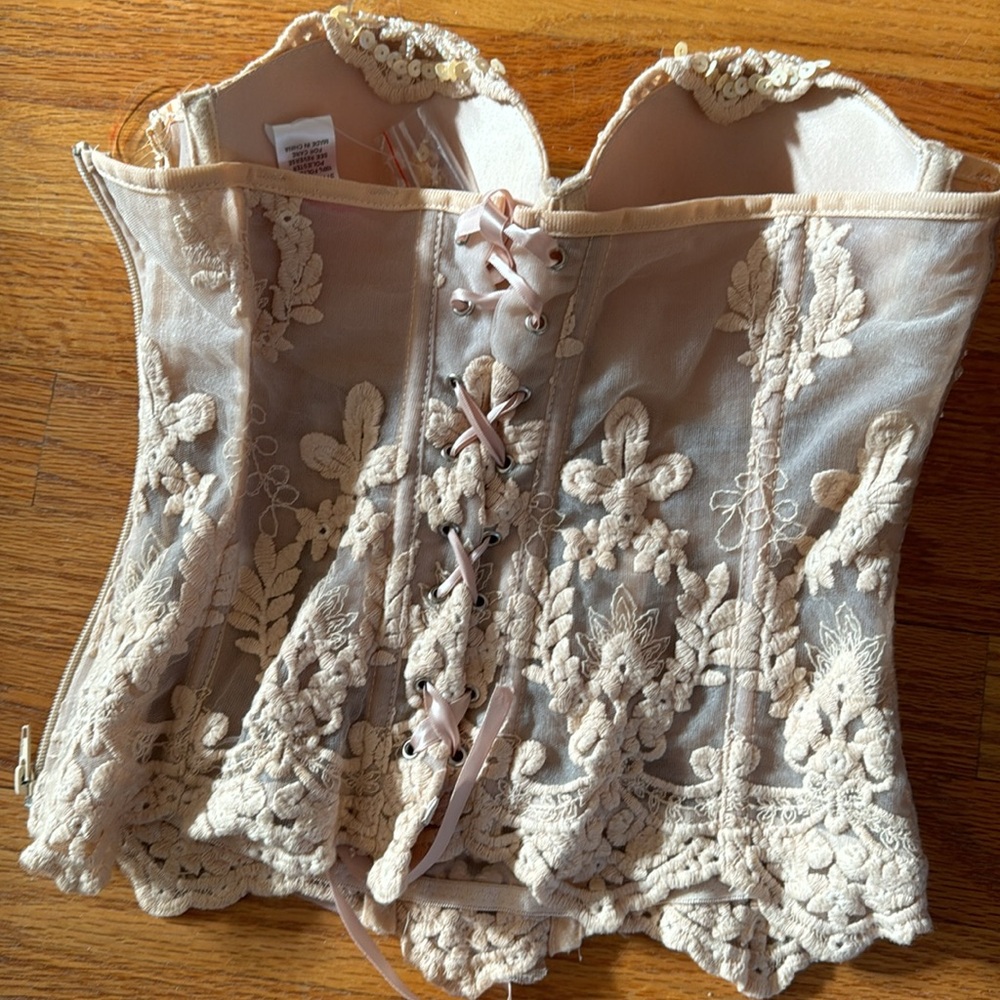 Blush Mesh Beaded Bustier - Picture 3 of 4